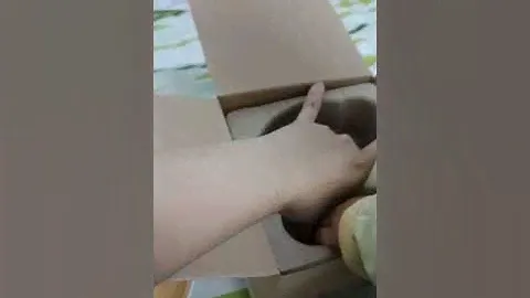 BREVI DIFFUSER 开箱啦 Brevi Diffuser Doterra Unboxing
