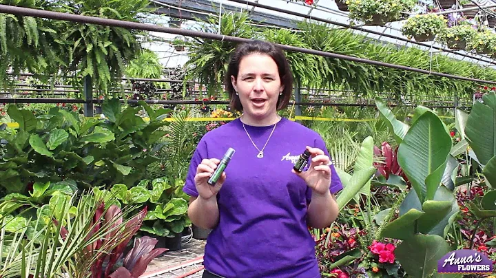 Essential Oil Of The Month: TerraShield