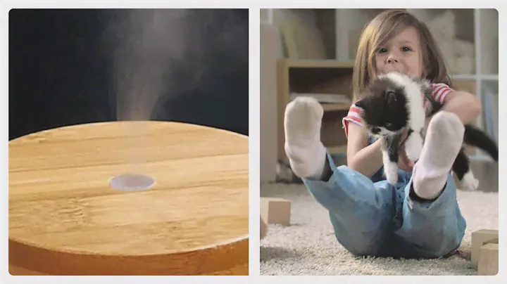 Ultrasonic Essential Oil Diffusers | NOW Solutions