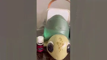 REVIEW Young Living diffuser ~ shelly the turtle ♥