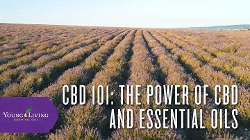 CBD 101: The Power of CBD and Essential Oils | Young Living Essential Oils