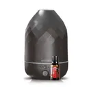 "Дух Рождества", праздничный набор doTERRA смесь Holiday Joy + диффузор Volo "Черный оникс"
