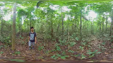 360º Video doTERRA Copaiba Essential Oil Sourcing
