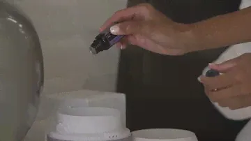 Difuzor doTERRA Petal 2 0