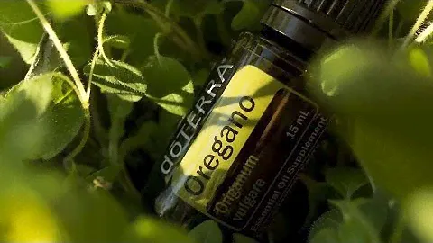 Орегано doTerra. Терапевтические свойсива