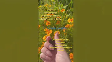 #эфирныемасла #эфирныемаслаприменение #doterra  эфирное масло лимона
