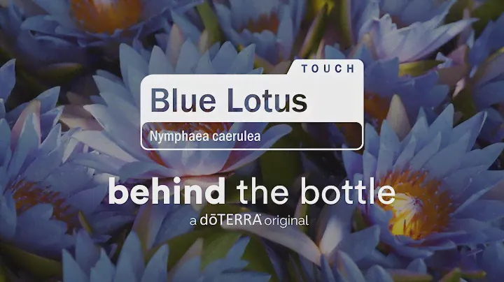 Beyond Purity: Discovering doTERRA Blue Lotus